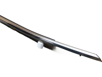 Toyota Highlander Door Moldings - 75710-0E100