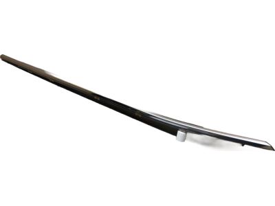 Toyota Highlander Door Moldings - 75710-0E100