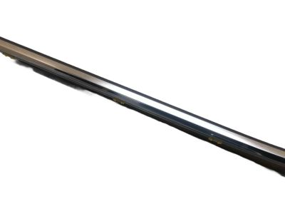 Toyota Highlander Door Moldings - 75710-0E100