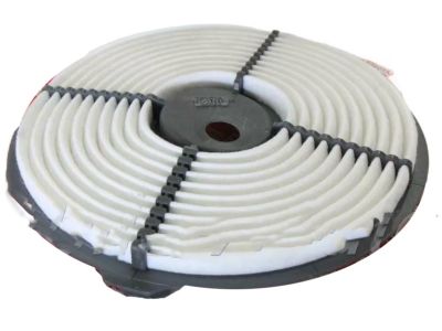 17801-10030-83 Toyota Air Filter Element Sub-Assembly Product Photo 2 of 5