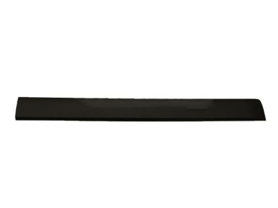 2010 Toyota FJ Cruiser Door Moldings - 75072-35140
