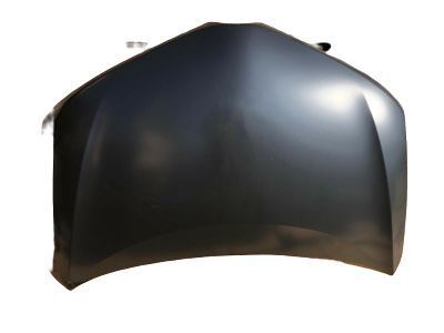 Toyota 53301-12B40 Hood Sub-Assembly