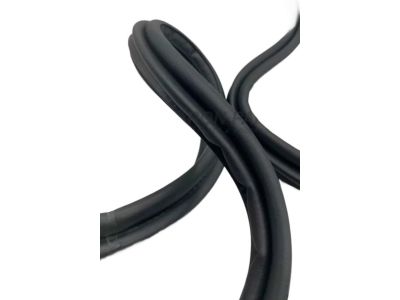 Toyota RAV4 Weather Strip - 67881-0R030