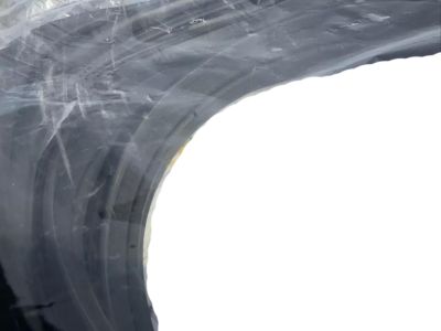 Toyota Venza Weather Strip - 67881-48100