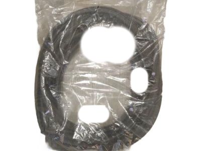 Scion tC Weather Strip - 67861-21020