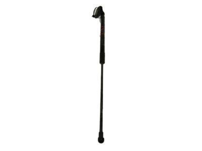 Toyota Prius Liftgate Lift Support - 68950-0W541