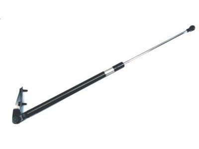 Toyota RAV4 Lift Support - 68960-0R100