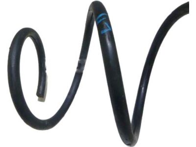 2022 Toyota RAV4 Coil Springs - 48131-42A80