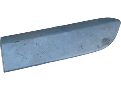 2002 Toyota RAV4 Door Moldings - 75742-42060