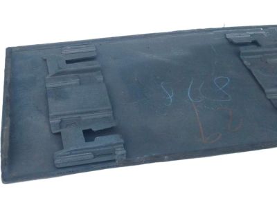 2002 Toyota RAV4 Door Moldings - 75742-42060