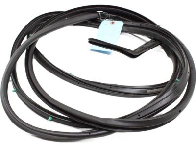 2023 Toyota Sienna Weather Strip - 67872-08040