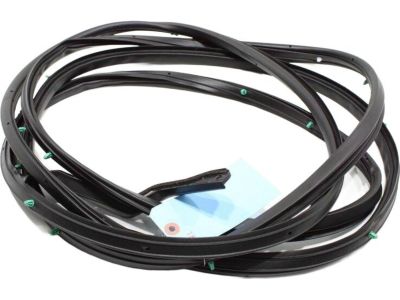 2023 Toyota Sienna Weather Strip - 67872-08040
