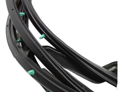 2023 Toyota Sienna Weather Strip - 67872-08040