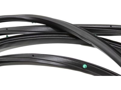 2023 Toyota Sienna Weather Strip - 67872-08040