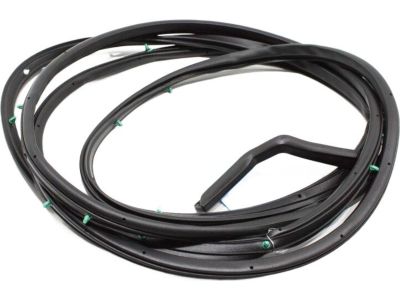 2023 Toyota Sienna Weather Strip - 67872-08040