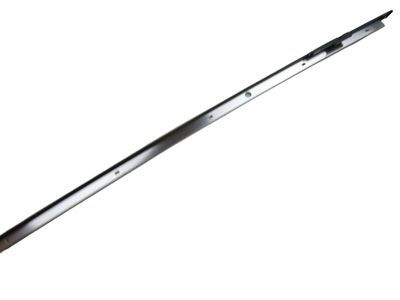 2019 Toyota C-HR Door Moldings - 75764-10010