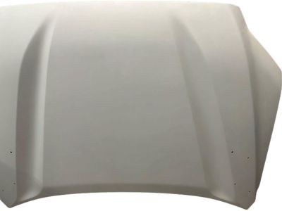 Toyota Sequoia Hood - 53301-0C070