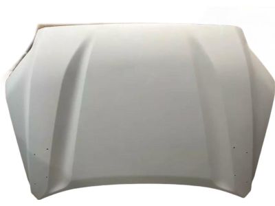 Toyota Sequoia Hood - 53301-0C070