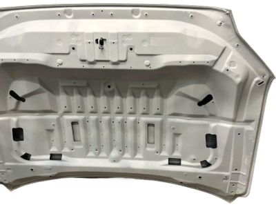 Toyota Sequoia Hood - 53301-0C070