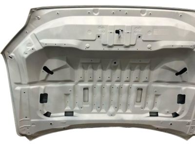 Toyota Sequoia Hood - 53301-0C070