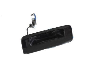 Toyota 76802-0C010-B1 Back Door Outside Handle