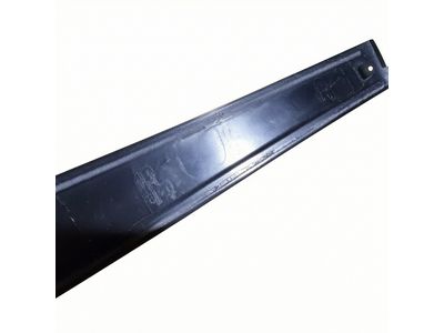 Toyota Sienna Door Moldings - 75756-08020