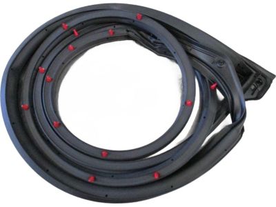 Scion iM Weather Strip - 67862-12A80