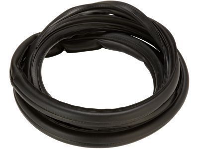 Toyota Tacoma Weather Strip - 62312-04030