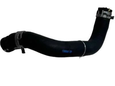 Toyota Avalon Oil Cooler Hose - 32941-06160