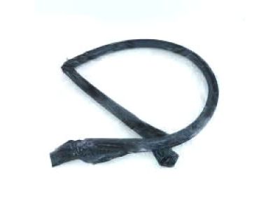 Toyota Celica Weather Strip - 62381-20090