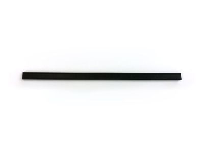 69971-90D00 Toyota Front Door Glass Channel Filler Product Photo 1 of 1