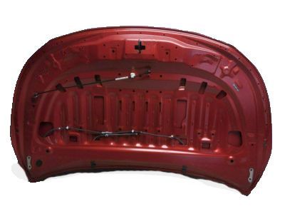 Toyota 53301-12B50 Hood Sub-Assembly