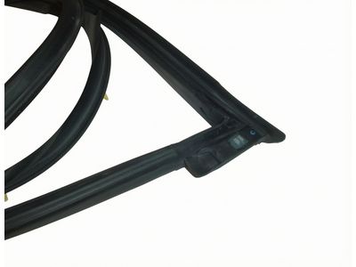 Toyota Sienna Door Seal - 67862-AE010