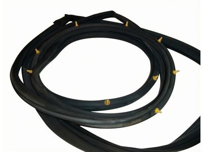 Toyota Sienna Door Seal - 67862-AE010