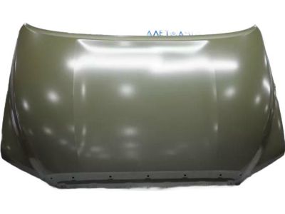 2010 Toyota Tundra Hood - 53301-0C030