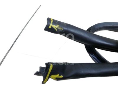 2009 Toyota Land Cruiser Weather Strip - 62311-60140