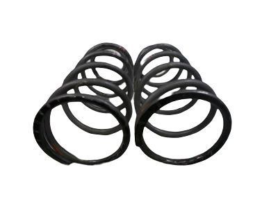 Toyota Land Cruiser Coil Springs - 48231-6A070