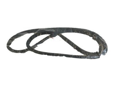 1998 Toyota Camry Door Seal - 62311-AA020