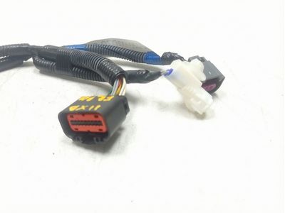 Scion 82191-12070