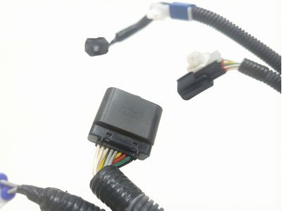 Scion 82191-12070