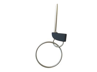 Toyota RAV4 Door Lock Cylinder - 69052-0R100