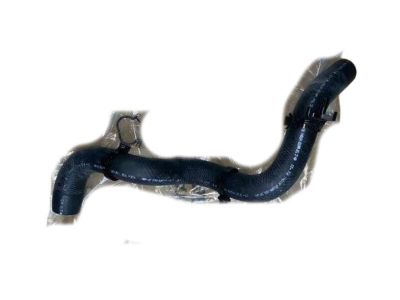 2021 Toyota Sienna Radiator Hose - 16572-F0150