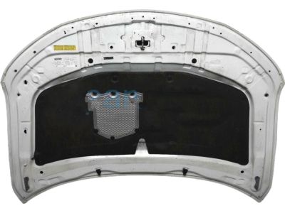 2013 Scion tC Hood - 53301-21110