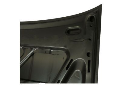 Toyota 53301-12390 Hood Sub-Assembly