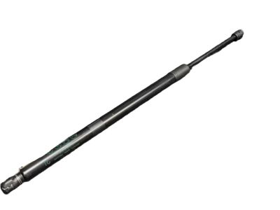 Toyota RAV4 Lift Support - 68960-0R110