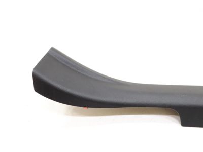 Toyota 67918-42110-C0