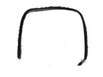 Toyota 62311-AC071-A0 Weatherstrip, Front Door Opening Trim, RH