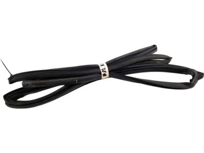 2005 Toyota RAV4 Weather Strip - 67872-42020