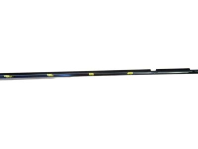 Toyota Highlander Door Moldings - 75730-0E100