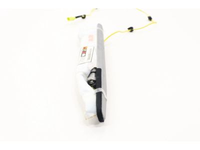 2022 Toyota Highlander Air Bag - 73910-0E090